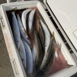 ★★釣り納めに行ったらとんでも無い事が★★