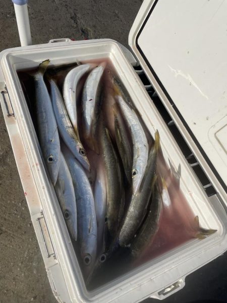 ★★釣り納めに行ったらとんでも無い事が★★…