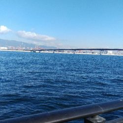 冬の寂しい釣果