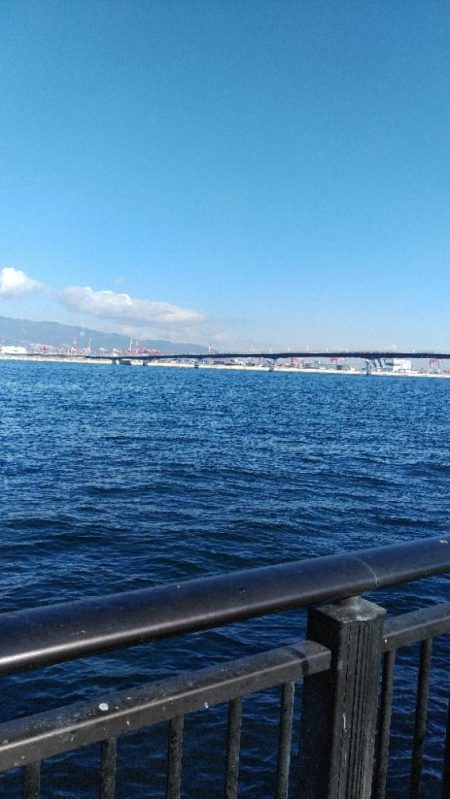 冬の寂しい釣果