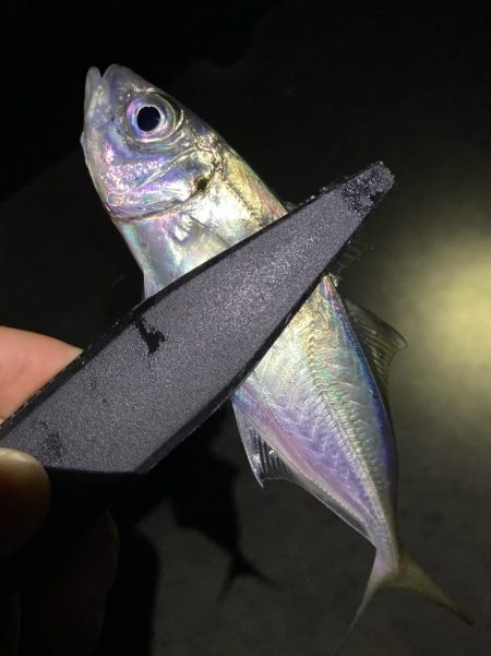 ライトゲームでアジ、メバル、ガシラ