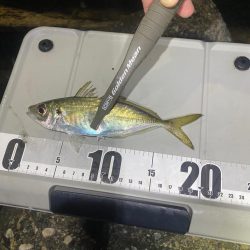 フロートアジング