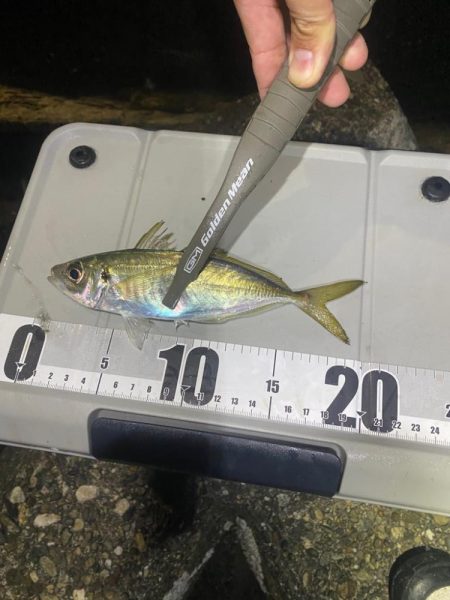 フロートアジング