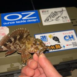 劇寒で1時間釣行