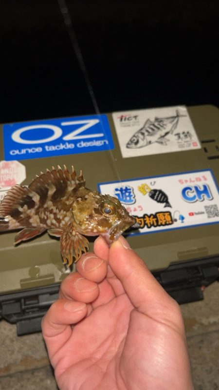 劇寒で1時間釣行