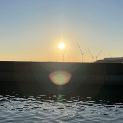 次こそはとリベンジしますが