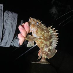 予報と違う風(๑•ૅㅁ•๑)