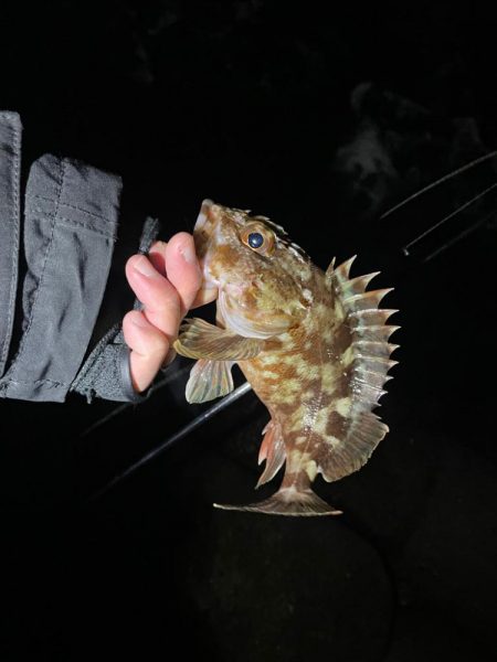 予報と違う風(๑•ૅㅁ•๑)