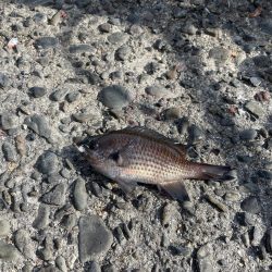 目標達成でいいですよね？