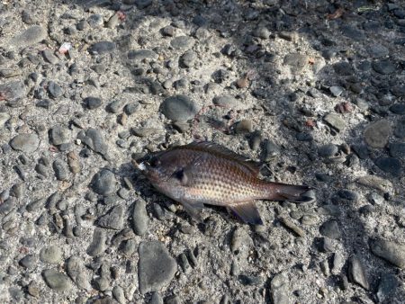 目標達成でいいですよね？