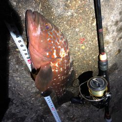 父への誕生日プレゼント