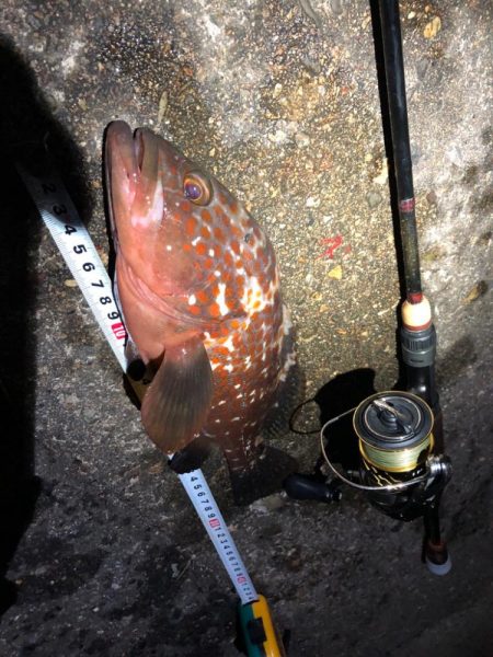 父への誕生日プレゼント