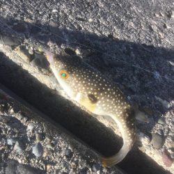 釣り納め　福を呼ぶ