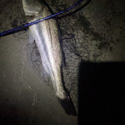 仕事帰りの1時間