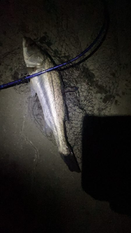 仕事帰りの1時間