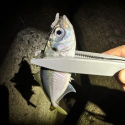 爆風ライトゲーム