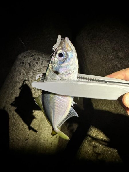 爆風ライトゲーム