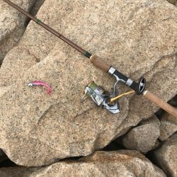 年末デイ太刀魚