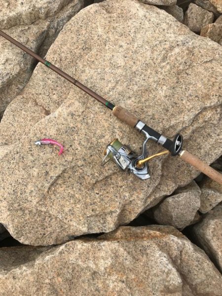 年末デイ太刀魚