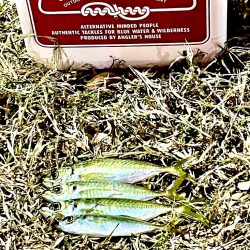 ジグ単de ~アジング♪ マジか?