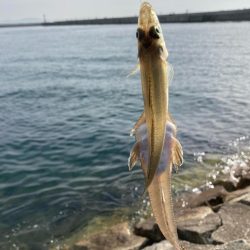 赤灯台〜東二見釣行!