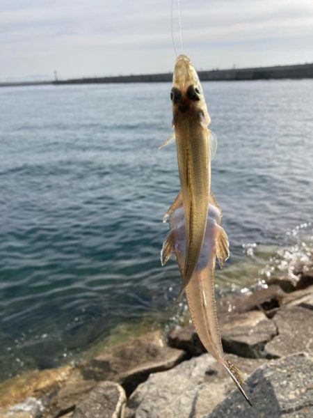 赤灯台〜東二見釣行!