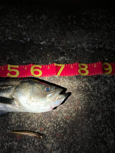 お痩せのようで⁉︎