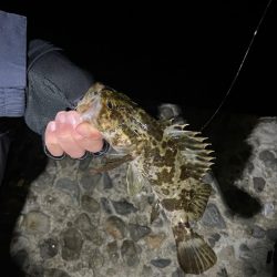 アジング難しい