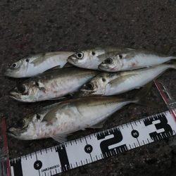 寒い山陰地方❄️