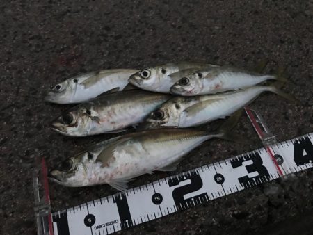 寒い山陰地方❄️…