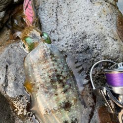 本年最後の調査❗️