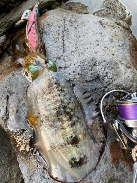 本年最後の調査❗️