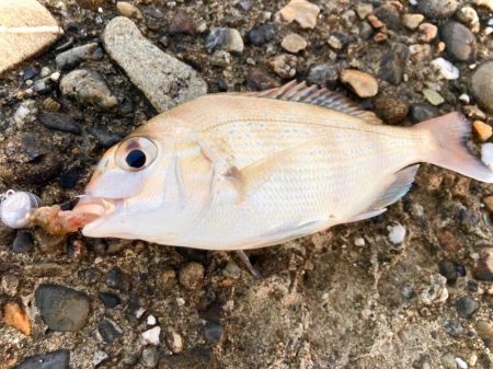 エサヘッド面白すぎにゃ！