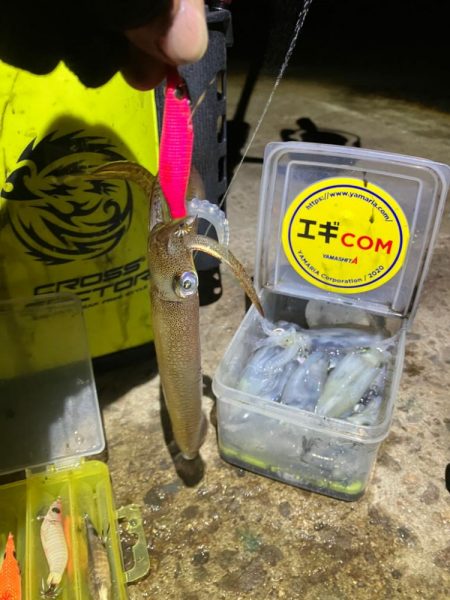 ヒイカ釣り🎣(^.^)