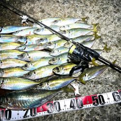 今シーズン初尺オーバーアジ🐟