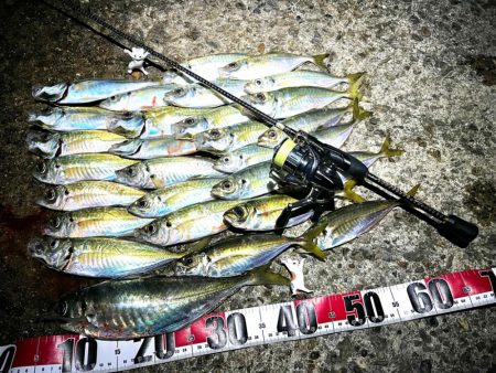 今シーズン初尺オーバーアジ🐟