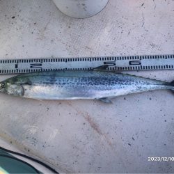 12/10 伊島沖ジギング