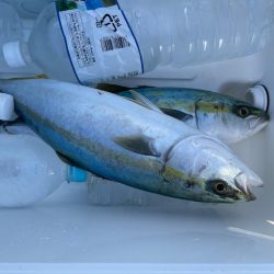 瀬戸内海ジギング