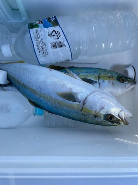 瀬戸内海ジギング