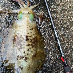 寒波来る前に！