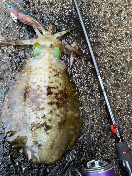 寒波来る前に！