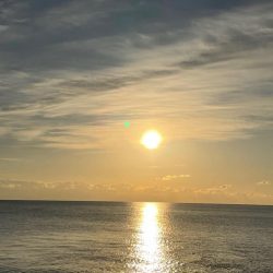 まちがいなくまごち！