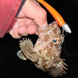 トレジャーハント