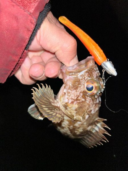 トレジャーハント