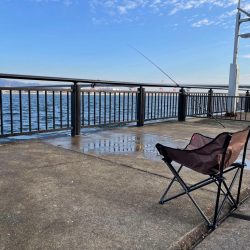 渋くなってきました