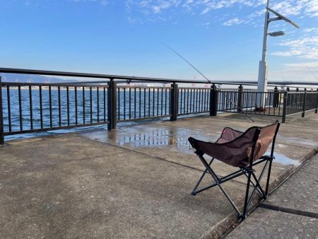 渋くなってきました