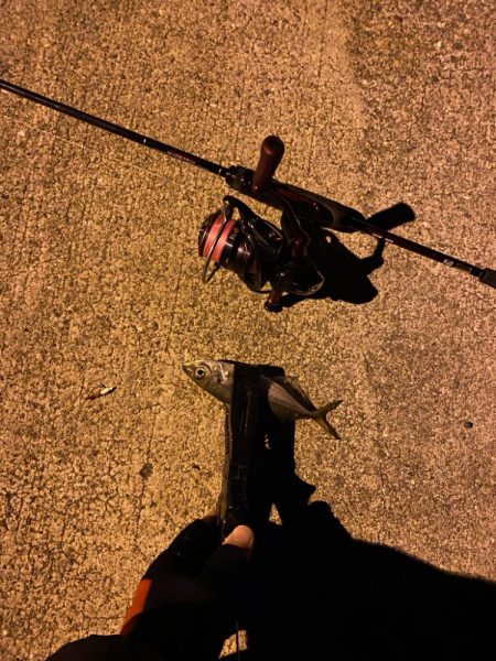 アジング&メバリング