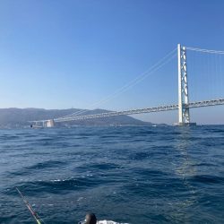 初めてやってみた