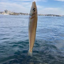 赤灯台〜東二見釣行！