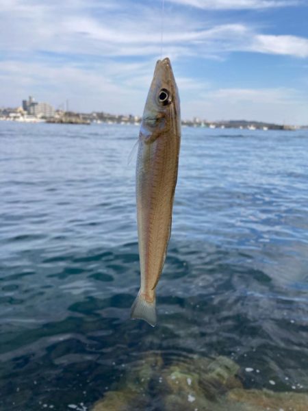 赤灯台〜東二見釣行！
